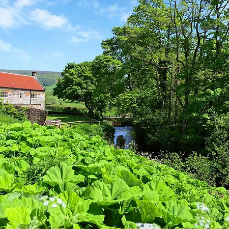 度假居 Todd's Pasture 厚比