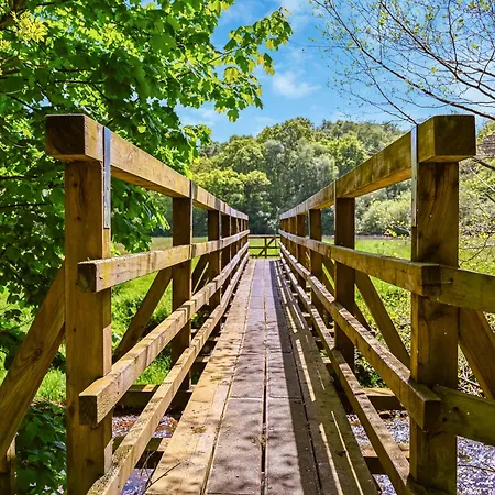 Todd's Pasture * Hawnby