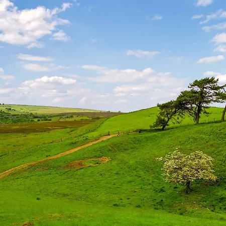 度假居 Todd's Pasture 厚比