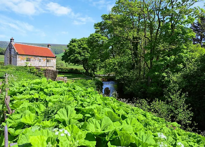 Casa vacanze Todd's Pasture Hawnby